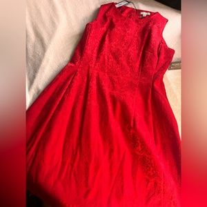 Eva mendes dress size 12